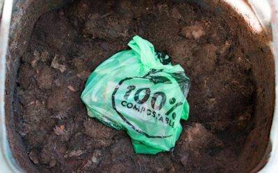 The Infeasibility of (Industrially) Compostable Bioplastics