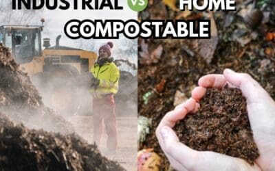 Not all Compostables are Equal: Industrial vs Home Compostable
