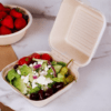 Compostable 450ml clamshell burger box filled with a greek salad, made from upcycled hemp fiber for sustainable food packaging.